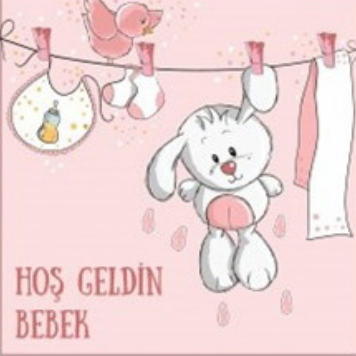 Hoş Geldin Bebek Pankartı